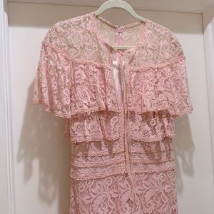 Tadoshi Shoji Aileen Lace Light Pink Lined High Low Designer Gown Size 10